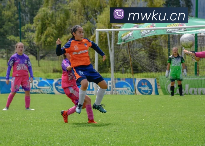 bat365(中国)在线平台官方网站 - 登录入口品牌故事